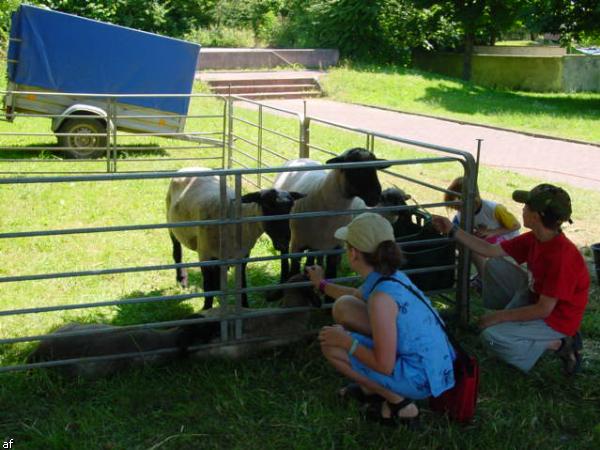 Handwerker und Bauernmarkt - 10. Grenzlandfest