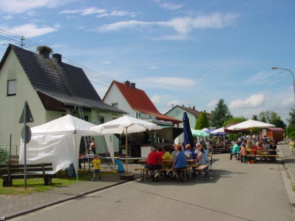 Storch in Kapsweyer