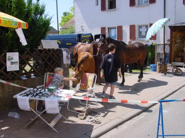 Handwerker und Bauernmarkt - 10. Grenzlandfest