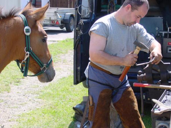 Handwerker und Bauernmarkt - 10. Grenzlandfest