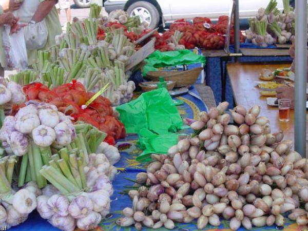 Handwerker und Bauernmarkt - 10. Grenzlandfest