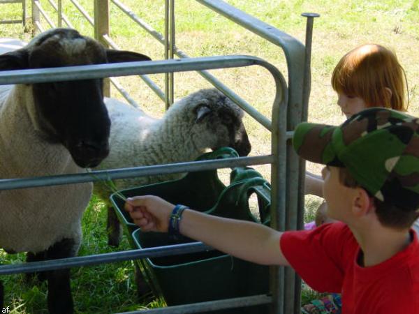 Handwerker und Bauernmarkt - 10. Grenzlandfest