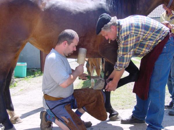 Handwerker und Bauernmarkt - 10. Grenzlandfest