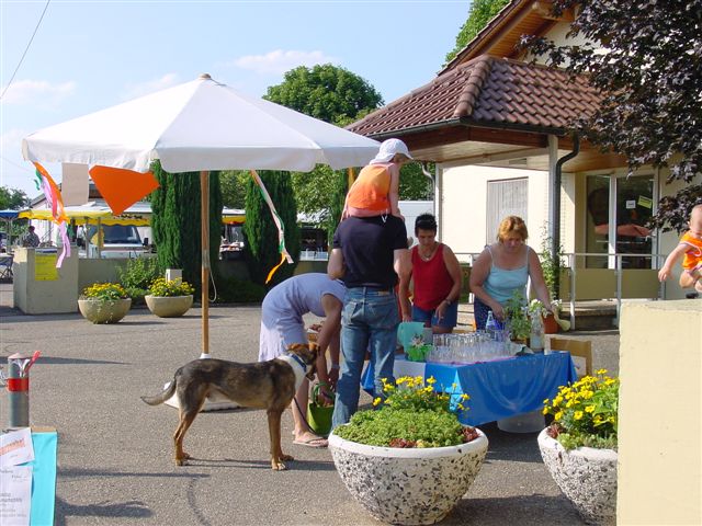 11. Grenzlandfest - 2003 in Kapsweyer