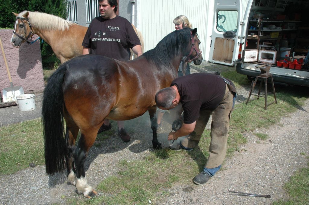 14. Grenzlandfest - 2009 in Kapsweyer