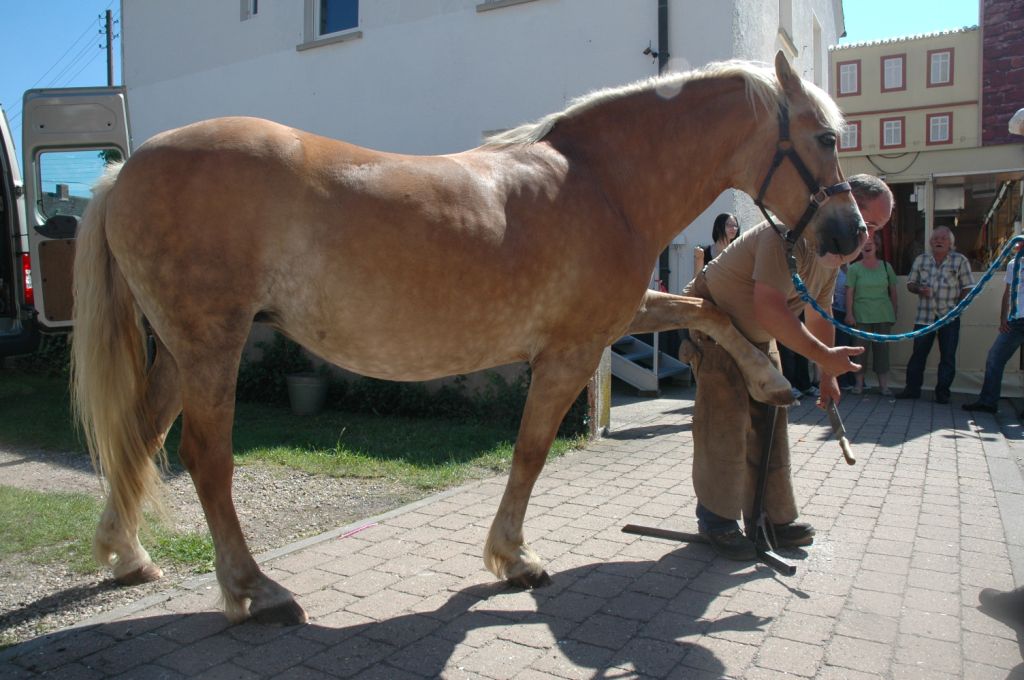 15. Grenzlandfest - 2011 in Kapsweyer