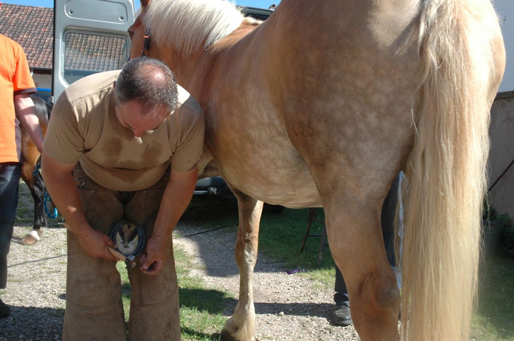 15. Grenzlandfest - 2011 in Kapsweyer